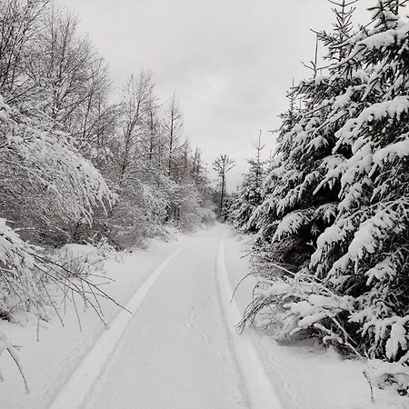 Stuga I Naturskoena Mittskane Höör 외부 사진
